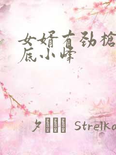 女婿有劲枪枪到底小峰