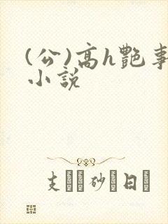 (公)高h艳事小说