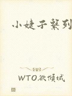 小婕子系列小说