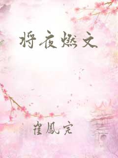 将夜燃文