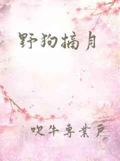 野狗摘月