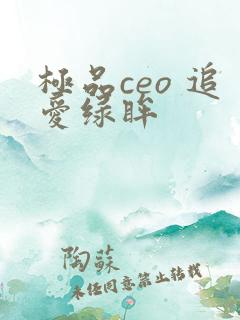 极品ceo 追爱绿眸