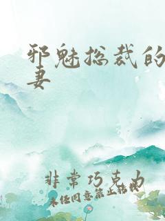 邪魅总裁的替身妻