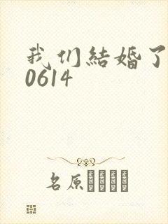 我们结婚了130614