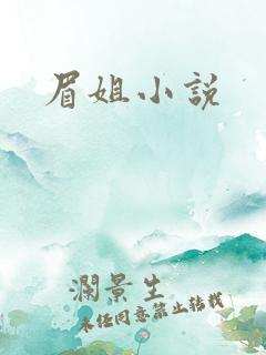 眉姐小说