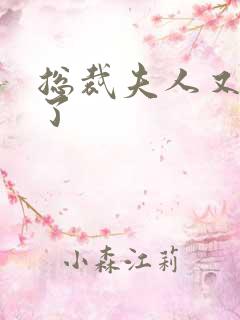 总裁夫人又征婚了