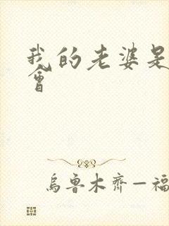 我的老婆是黑社会