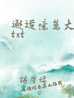 邂逅亿万大人物txt