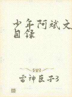 少年阿斌文说读目录