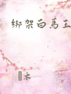 绑架白马王子