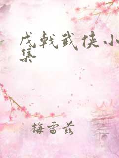 戊戟武侠小说全集