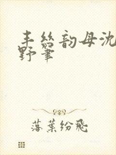 丰丝韵母沈蓉书野笔