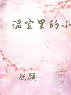 温室里的小百合