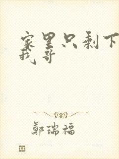 家里只剩下我和我哥