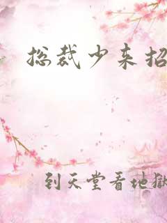 总裁少来招惹我