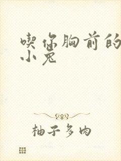 吃你胸前的两只小兔