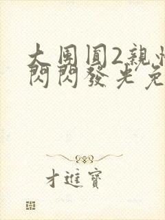 大团圆2亲情会闪闪发光免费