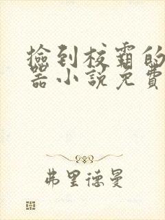 捡到校霸的遥控器小说免费阅读无弹窗