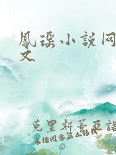 凤瑶小说网高辣文