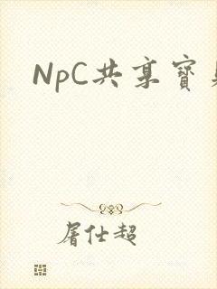 NpC共享宝贝