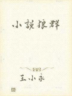 小说狼群