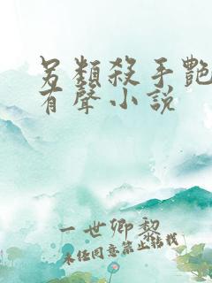 另类杀手艳福星有声小说