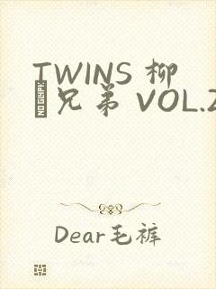 TWINS 柳澤兄弟 VOL.2