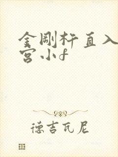 金刚杵直入莲花宫小f