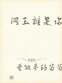 网王谁是你老婆