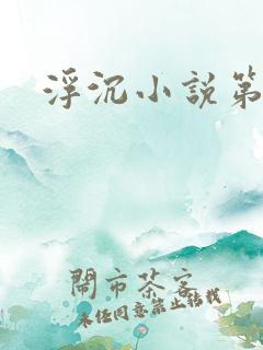 浮沉小说第二部