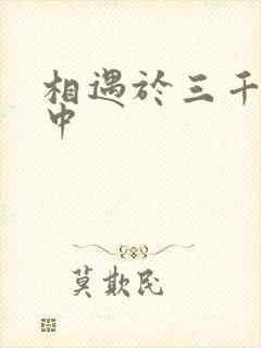 相遇于三千肉文中