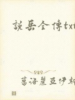 说岳全传txt