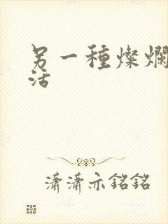 另一种灿烂的生活