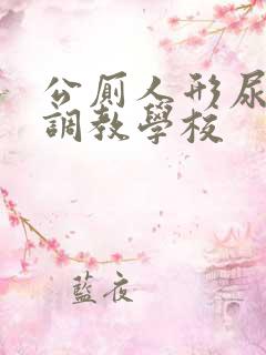 公厕人形尿便器调教学校