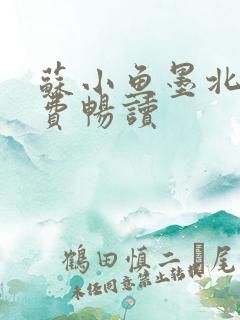 苏小鱼墨北枭免费畅读