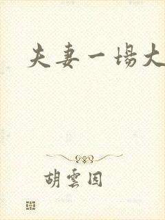 夫妻一场大结局