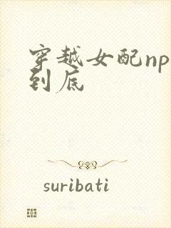 穿越女配np湿到底
