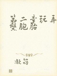 第二章玩弄少妇双胞胎