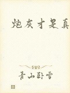 炮灰才是真绝色