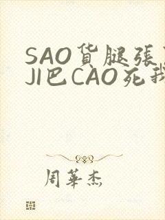 SAO货腿张开JI巴CAO死我