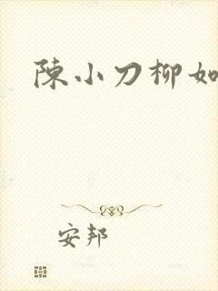 陈小刀柳如意