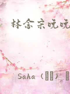 林念宋晚晚小说