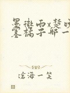 墨微雨x楚晚宁塞橘子哪一章