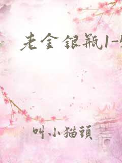老金银瓶1-5