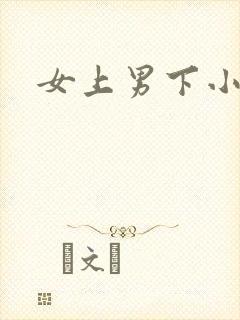 女上男下小说