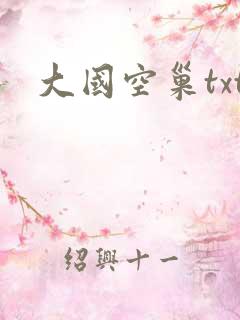 大国空巢txt