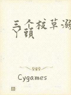 三个校草溺爱拽丫头