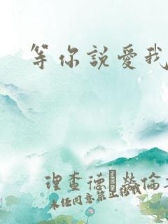 等你说爱我小说