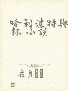 哈利波特与火焰杯 小说