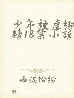 少年被虐绑着榨精18禁小说